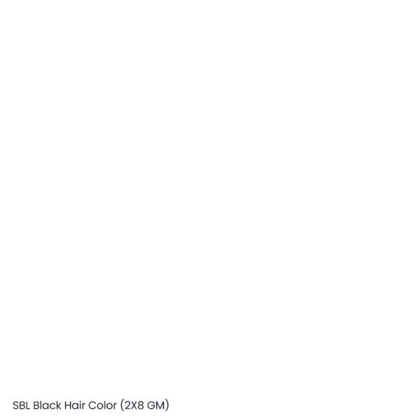 SBL Black Hair Color (2X8 GM)