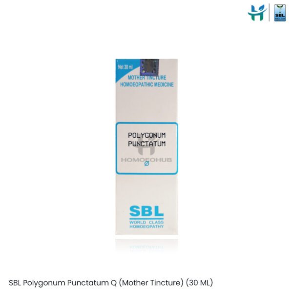 SBL Polygonum Punctatum Q (Mother Tincture) (30 ML)
