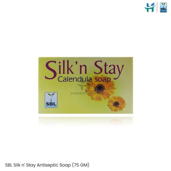 SBL Silk n’ Stay Antiseptic Soap (75 GM)