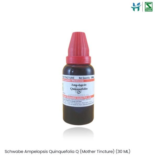 Dr. Willmar Schwabe Ampelopsis Quinquefolia Q (Mother Tincture) (30 ML)