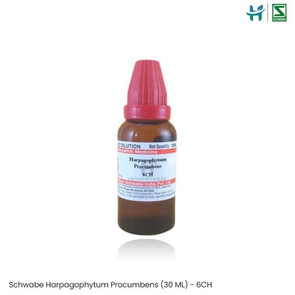 Dr. Willmar Schwabe Harpagophytum Procumbens (30 ML)