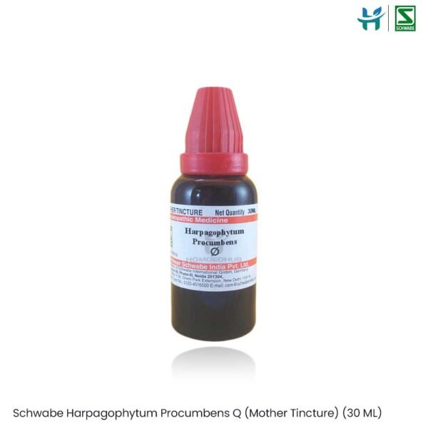 Dr. Willmar Schwabe Harpagophytum Procumbens Q (Mother Tincture) (30 ML)