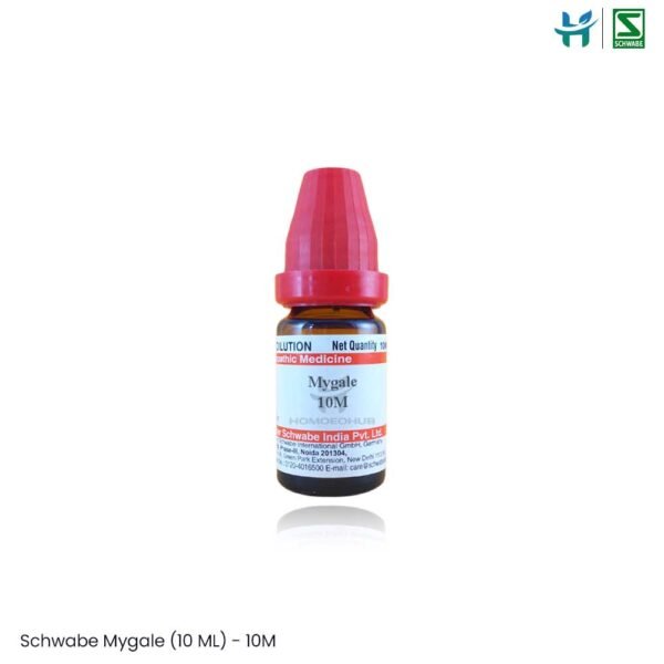 Dr. Willmar Schwabe Mygale (10 ML)