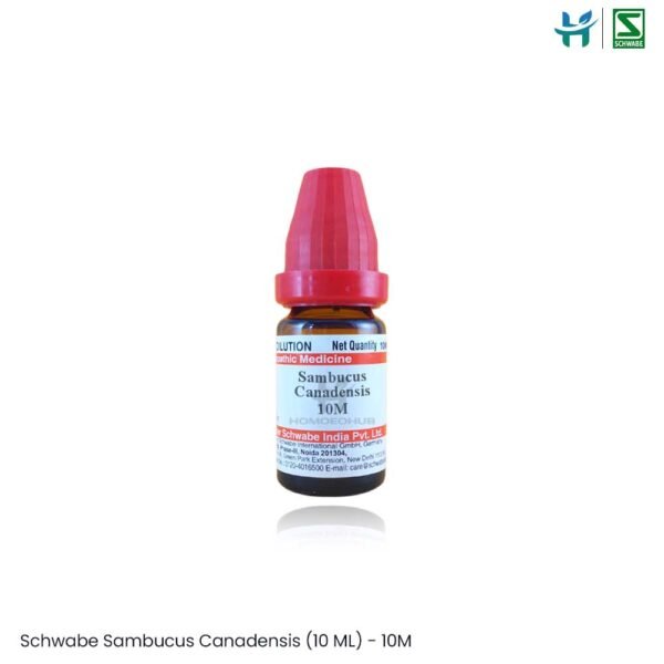 Dr. Willmar Schwabe Sambucus Canadensis (10 ML)